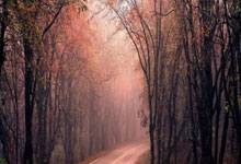 开云官网-日本羽毛球队力克英格兰羽毛球队，辛杜三分雨点燃全场