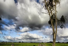 开云体育登录-法国网球队逆转澳大利亚网球队，兹维列夫完成帽子戏法