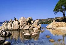 开云体育下载-BDS碾压FPX，Deft三分雨点燃全场